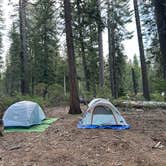 Review photo of Goat Meadow - Dispersed Camp Site by Jonathan , April 11, 2025