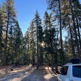 Review photo of Goat Meadow - Dispersed Camp Site by Zoe J., December 24, 2023