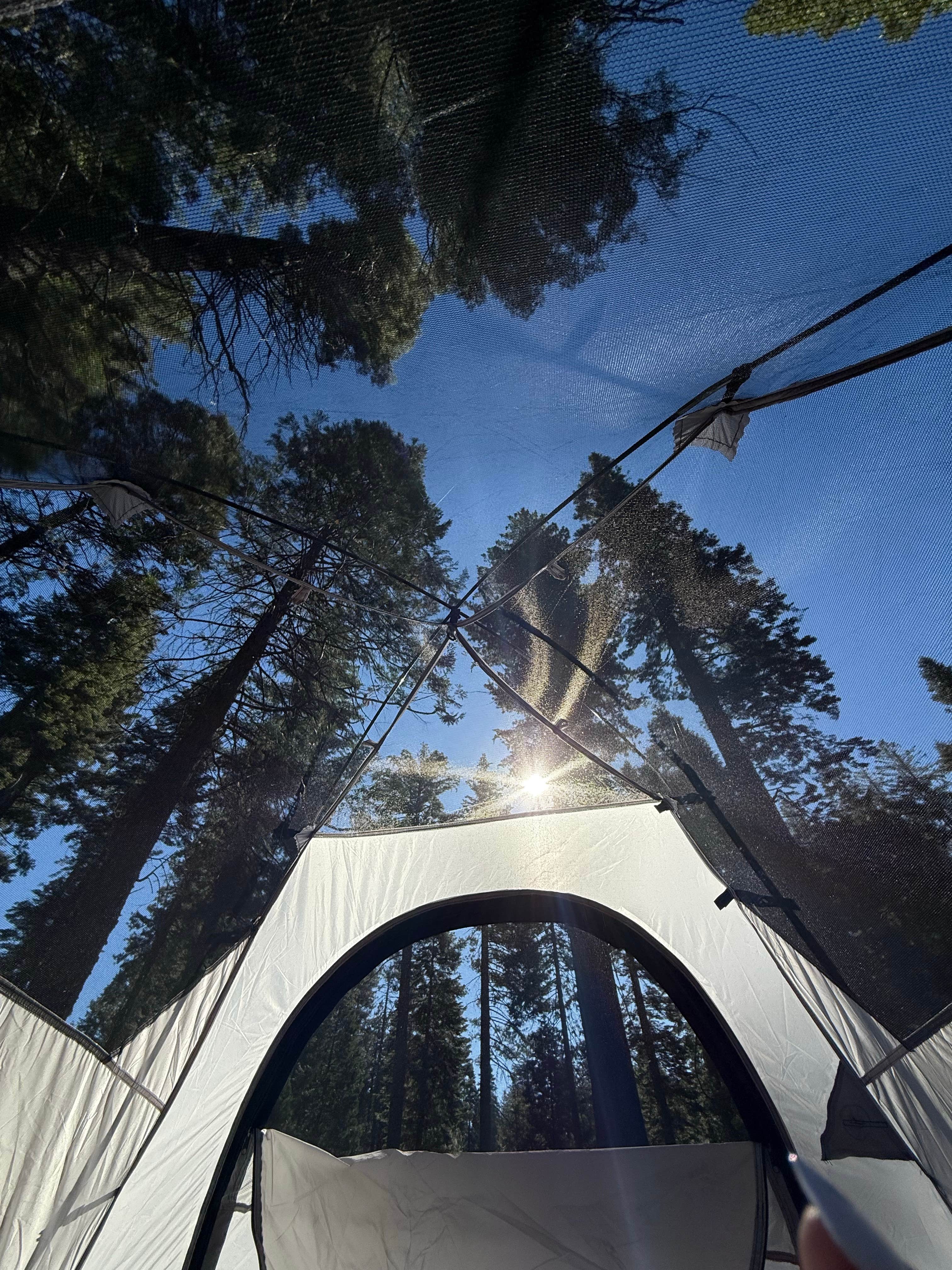 Goat Meadow - Dispersed Camp Site