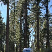Review photo of Goat Meadow - Dispersed Camp Site by Taryn R., July 5, 2025