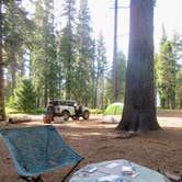 Review photo of Goat Meadow - Dispersed Camp Site by Grace V., June 12, 2026