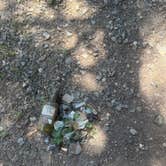 Review photo of Goat Meadow - Dispersed Camp Site by Catherine H., June 15, 2026