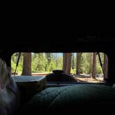 Review photo of Goat Meadow - Dispersed Camp Site by Maddie A., July 3, 2026