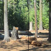 Review photo of Goat Meadow - Dispersed Camp Site by Red , July 24, 2026