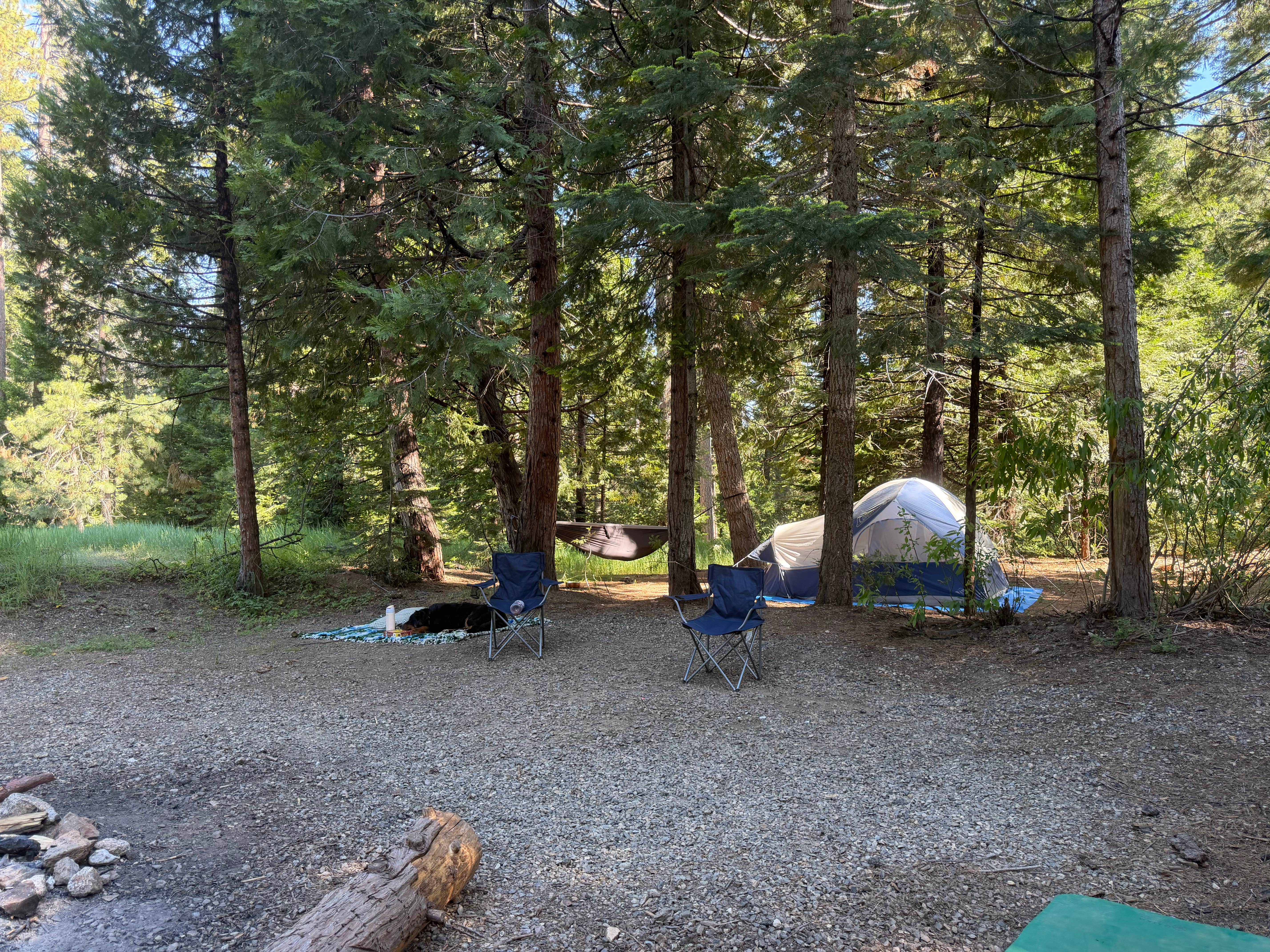 Goat Meadow - Dispersed Camp Site