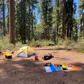 Review photo of Goat Meadow - Dispersed Camp Site by David B., May 22, 2026