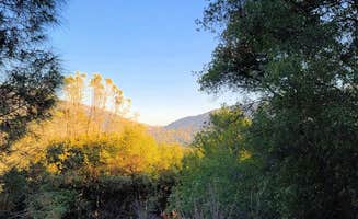 Erich J.'s photo of a dispersed camping area at Goat Meadow - Dispersed Camp Site near Fresno, CA