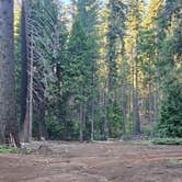 Review photo of Goat Meadow - Dispersed Camp Site by JJ D., June 14, 2024