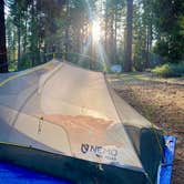 Review photo of Goat Meadow - Dispersed Camp Site by David B., May 22, 2026