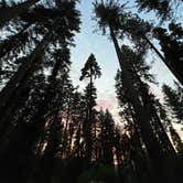 Review photo of Goat Meadow - Dispersed Camp Site by megan L., August 12, 2026