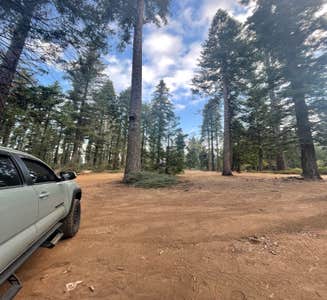 Camper-submitted photo from Yosemite Creek — Yosemite National Park