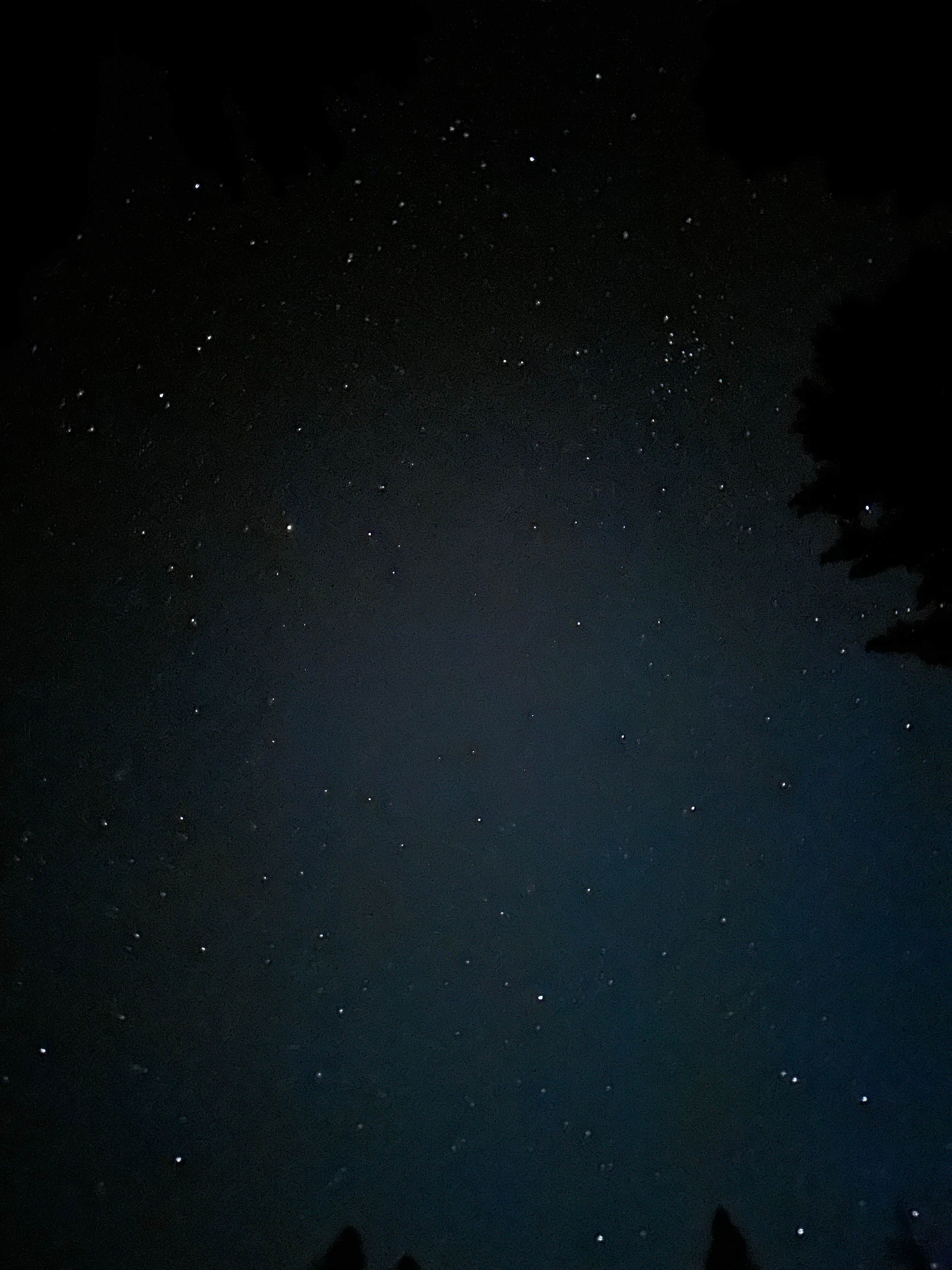 Madera photo 3