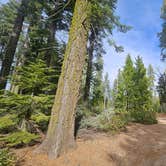 Review photo of Goat Meadow - Dispersed Camp Site by Kevin C., December 19, 2025