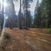Review photo of Goat Meadow - Dispersed Camp Site by Kevin C., December 19, 2025
