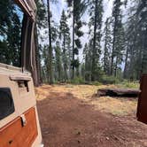 Review photo of Goat Meadow - Dispersed Camp Site by megan L., August 12, 2026