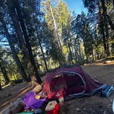 Review photo of Goat Meadow - Dispersed Camp Site by Kayla T., March 25, 2026