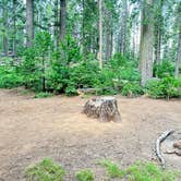 Review photo of Goat Meadow - Dispersed Camp Site by Vinny D., June 13, 2024