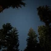 Review photo of Goat Meadow - Dispersed Camp Site by Ala B., May 11, 2025