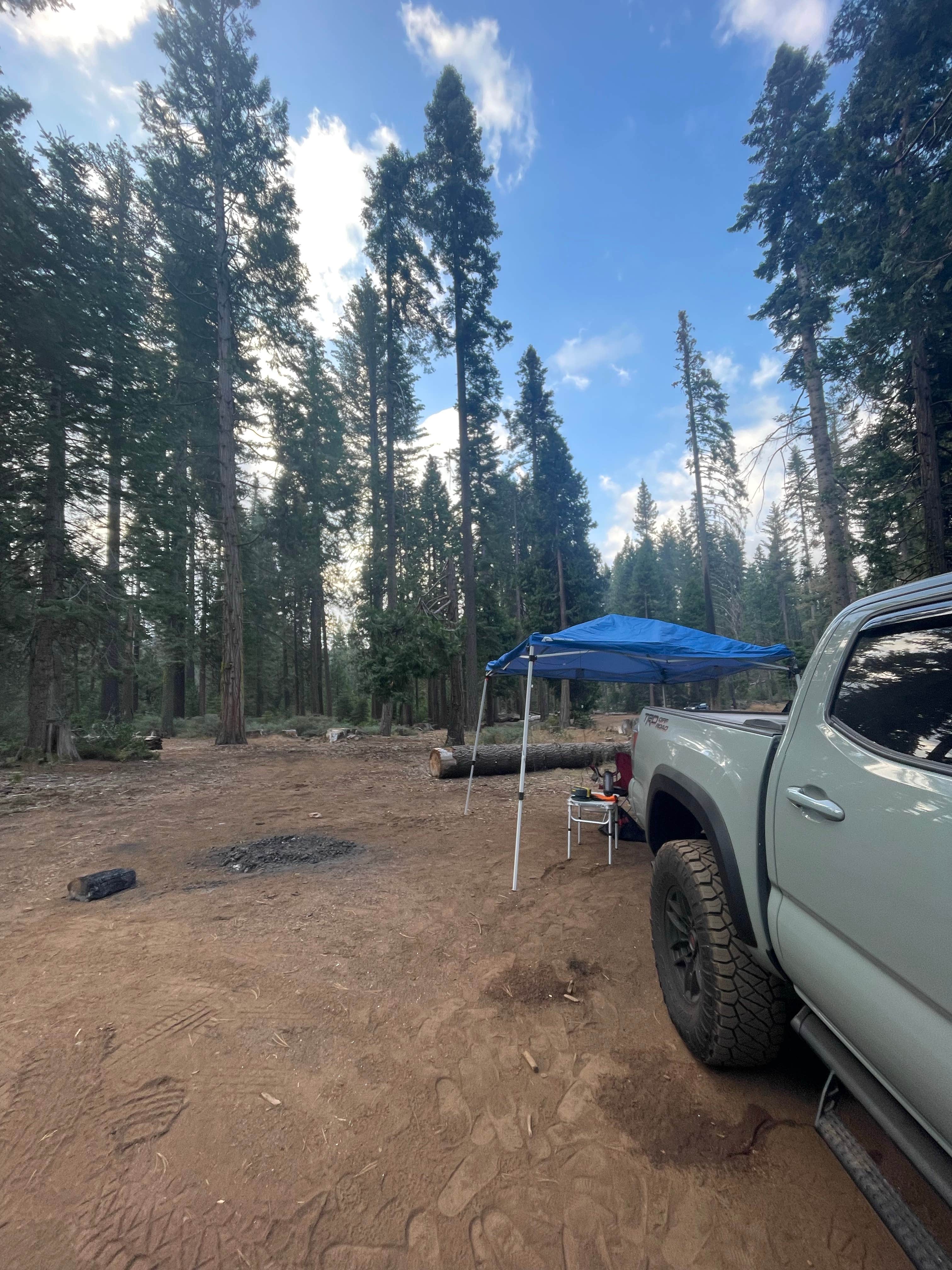 Samantha M.'s photo at Goat Meadow - Dispersed Camp Site near Wawona, CA