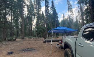 Samantha M.'s photo of a dispersed camping area at Goat Meadow - Dispersed Camp Site near Merced, CA