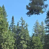 Review photo of Goat Meadow - Dispersed Camp Site by Red , July 24, 2026