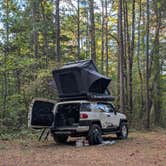 Review photo of Adams Mountain Rd Dispersed Campsite by Bonnie M., October 21, 2026
