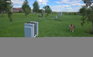 Teresa T.'s photo of camping with pets at Adrian Campground near Valley City, ND