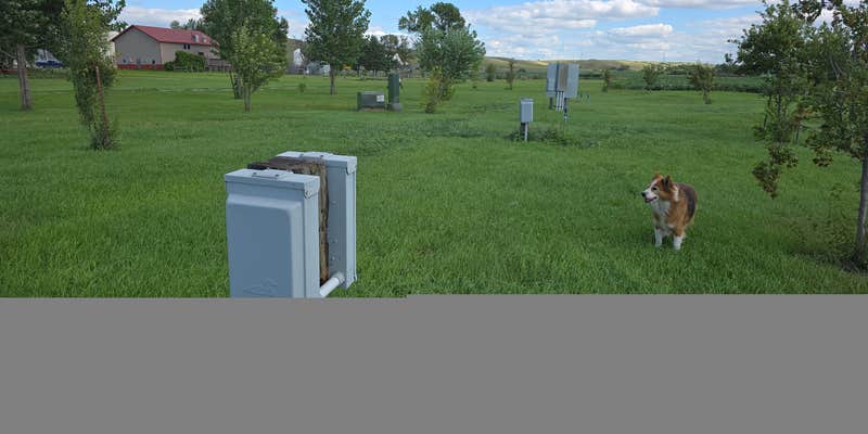 Camper submitted image from Adrian Campground