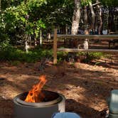 Review photo of Adventure Bound Camping Resorts Cape Cod: North Truro by Kaitlyn B., June 25, 2026