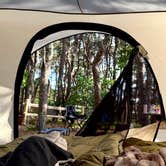Review photo of Adventure Bound Camping Resorts Cape Cod: North Truro by Kaitlyn B., June 25, 2026