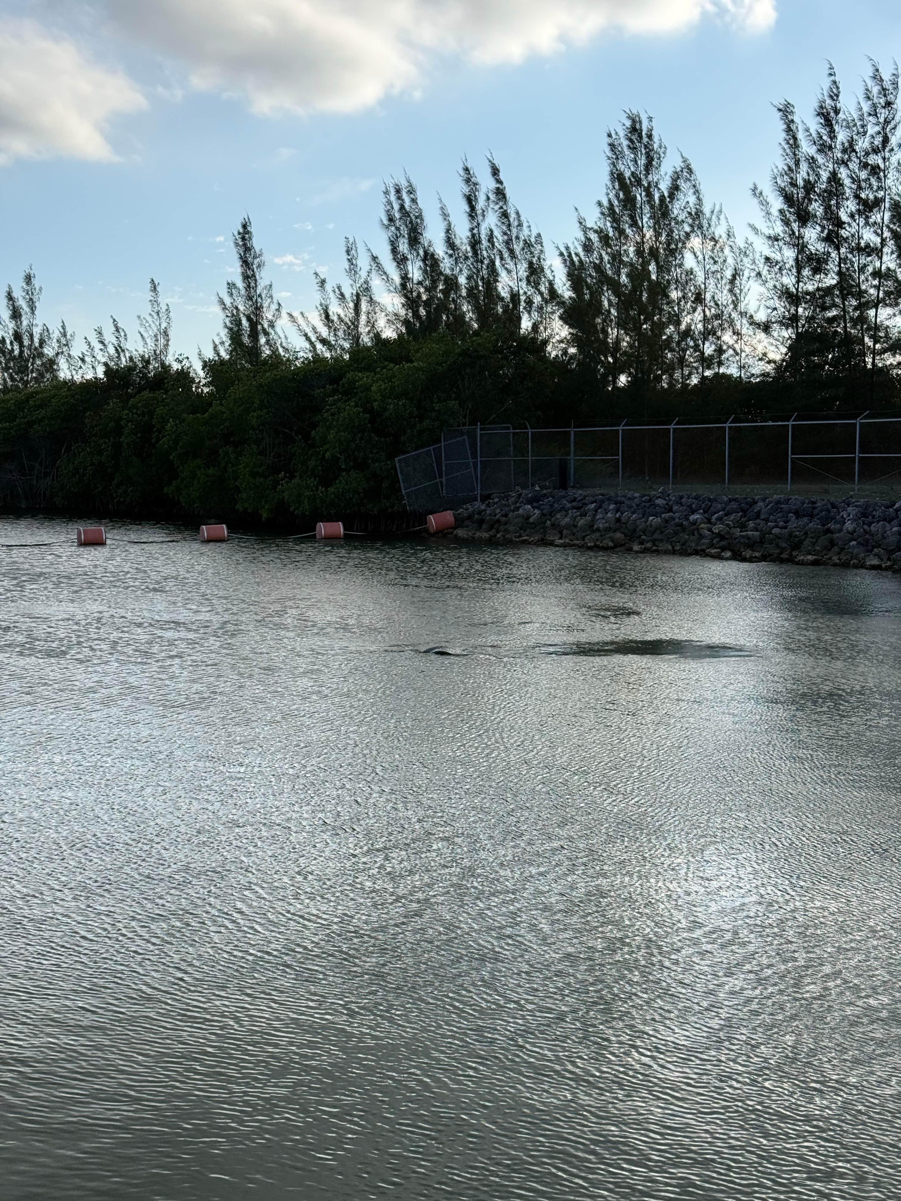 Camper-submitted photo at Aerojet Canal Boat Landing near Miramar, FL