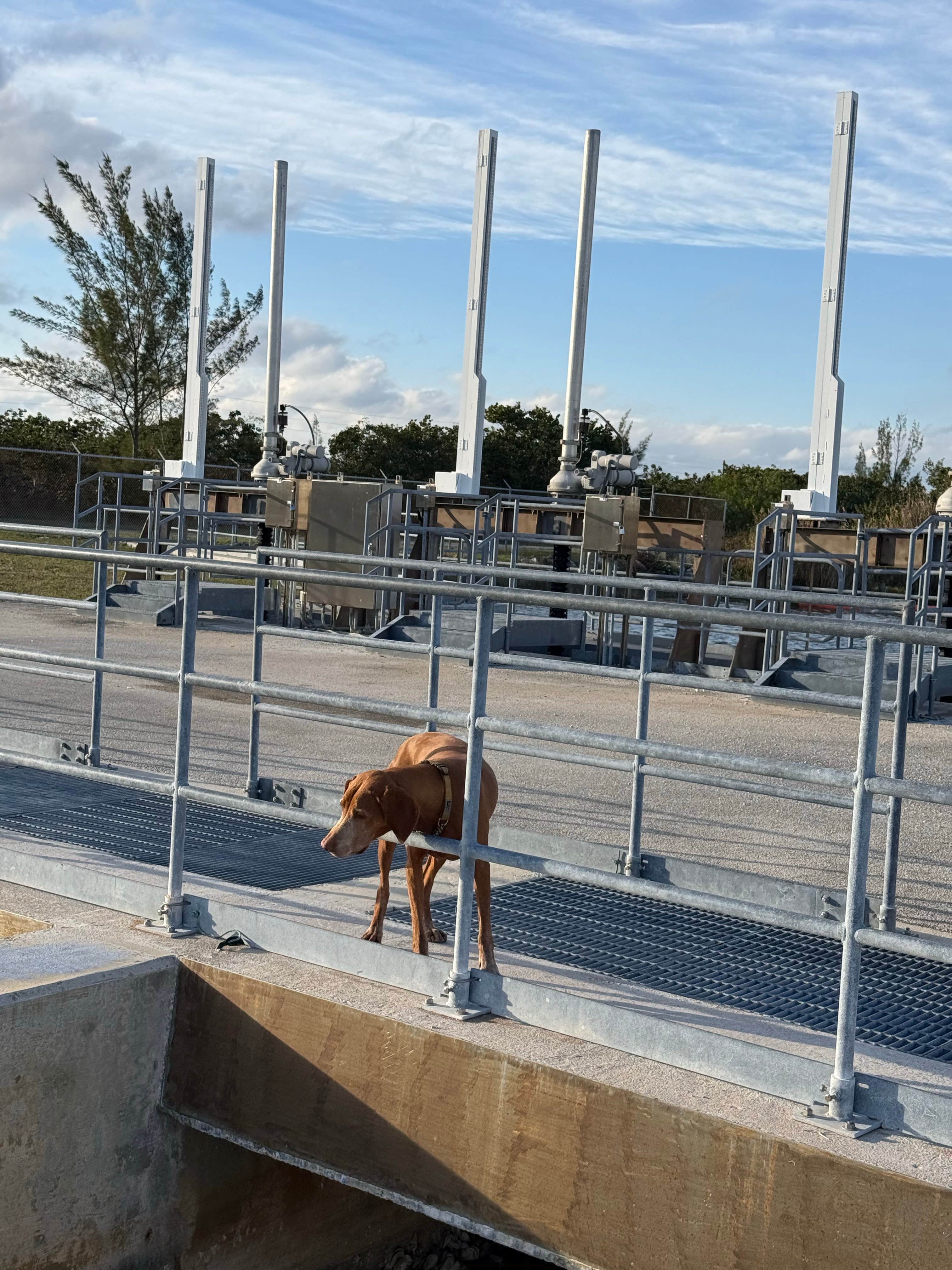Camper-submitted photo at Aerojet Canal Boat Landing near Miramar, FL
