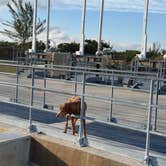 Review photo of Aerojet Canal Boat Landing by @57overlander C., January 15, 2026