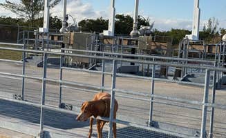 @57overlander C.'s photo of camping with pets at Aerojet Canal Boat Landing near Miami Beach, FL