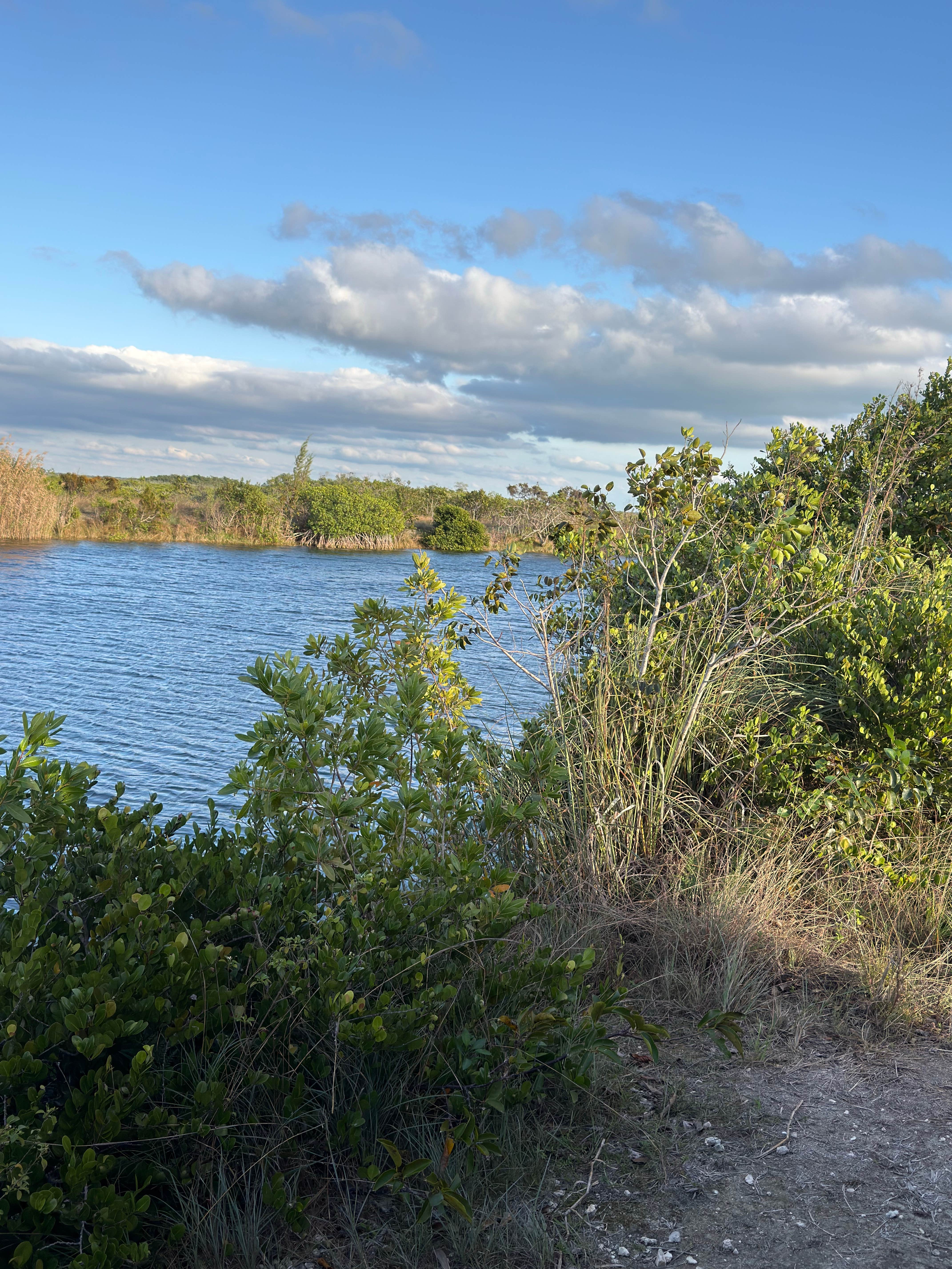 Camper submitted image from Aerojet Canal Boat Landing - 3