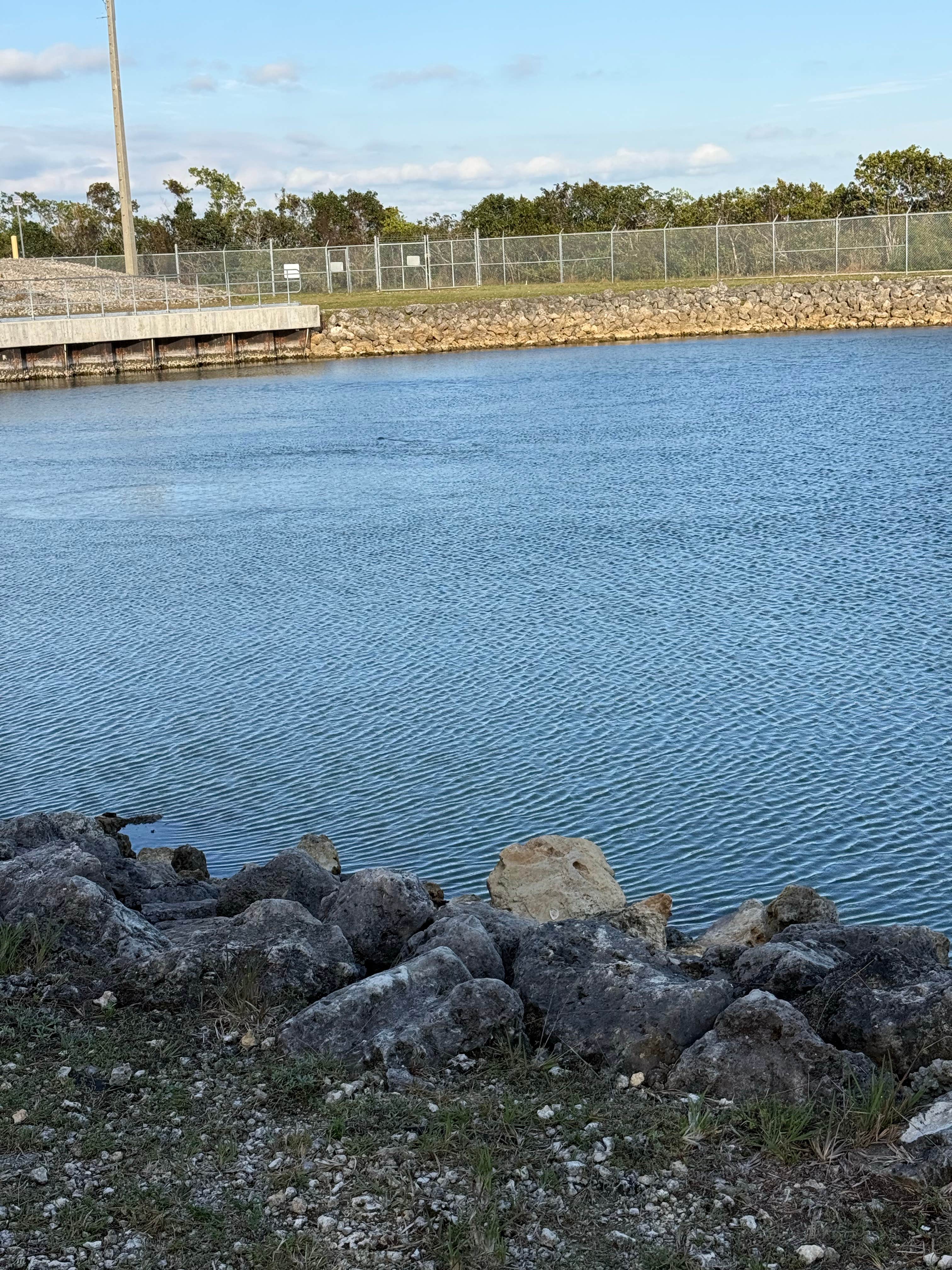 Camping near Gold Coaster RV Resort, A Sun RV Resort: Aerojet Canal Boat Landing, Florida City, Florida