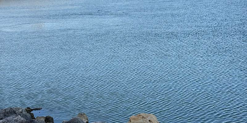 Camper submitted image from Aerojet Canal Boat Landing