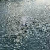 Review photo of Aerojet Canal Boat Landing by @57overlander C., January 15, 2026