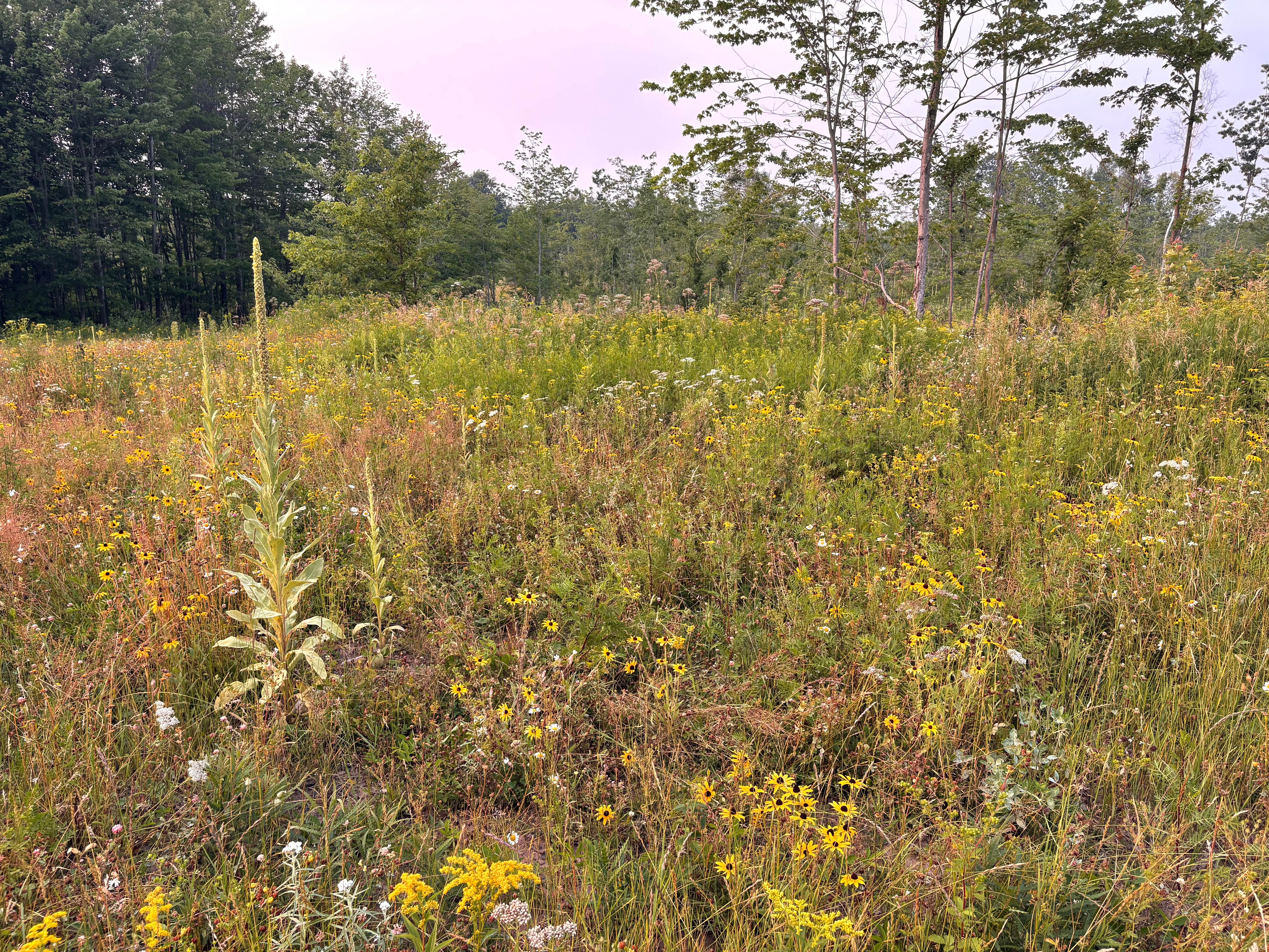 Camping near Middle St. Croix — Saint Croix National Scenic Riverway: Afterhours Meadow, Brule, Wisconsin