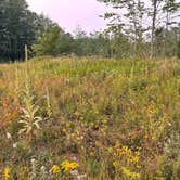 Review photo of Afterhours Meadow by Liona L., August 2, 2025