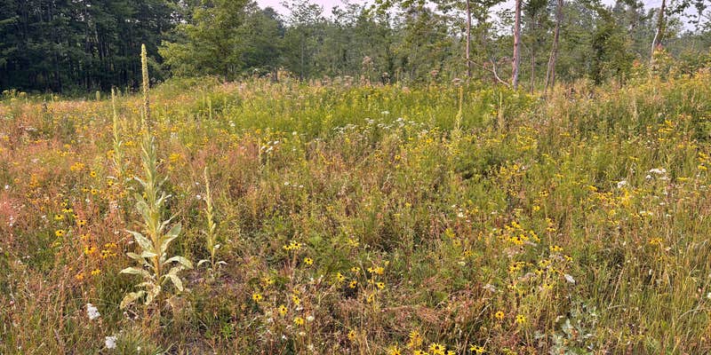 Camper submitted image from Afterhours Meadow