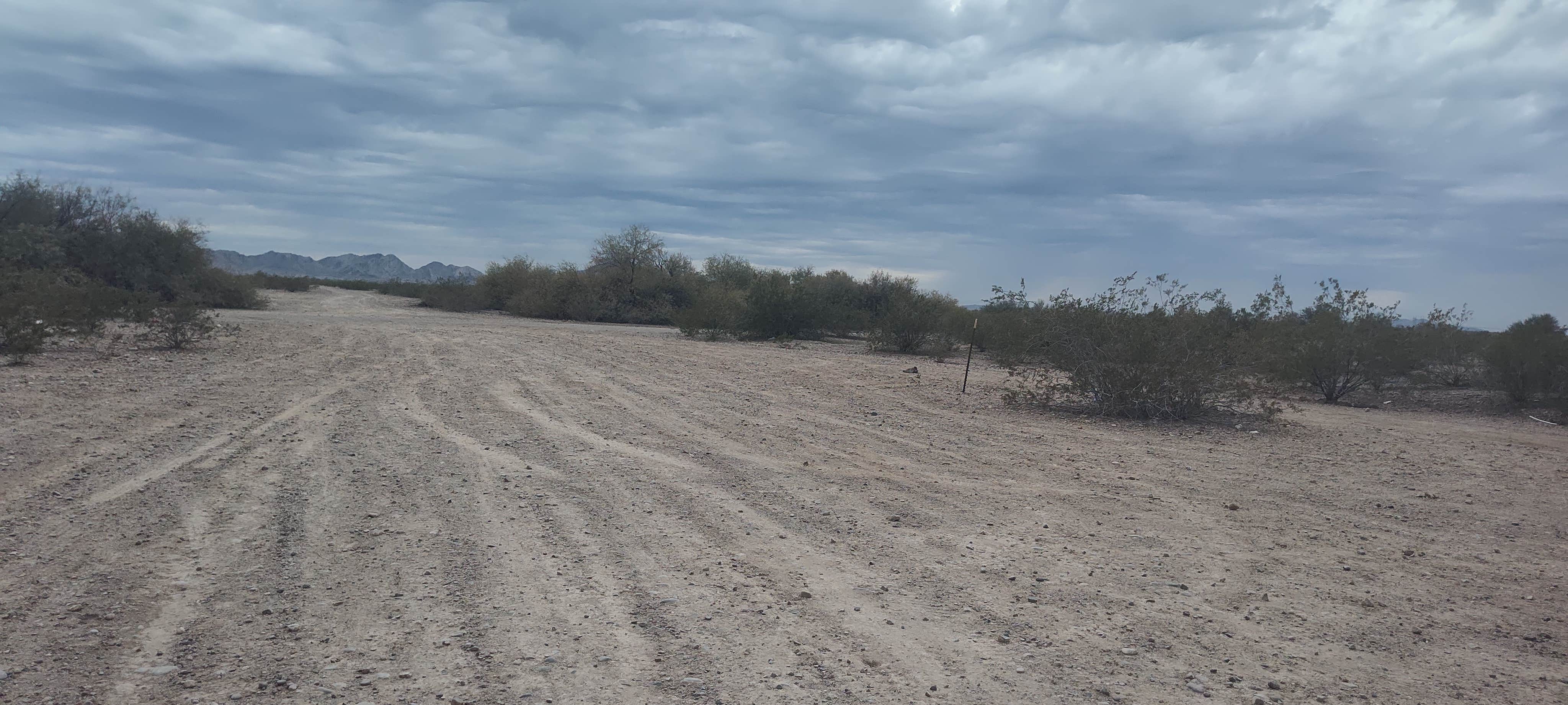 Camper-submitted photo at Agua Caliente Trail Camp near Buckeye, AZ
