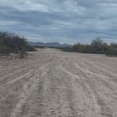 Review photo of Agua Caliente Trail Camp by Dave B., December 23, 2025