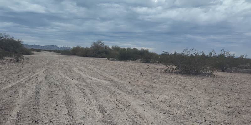 Camper submitted image from Agua Caliente Trail Camp