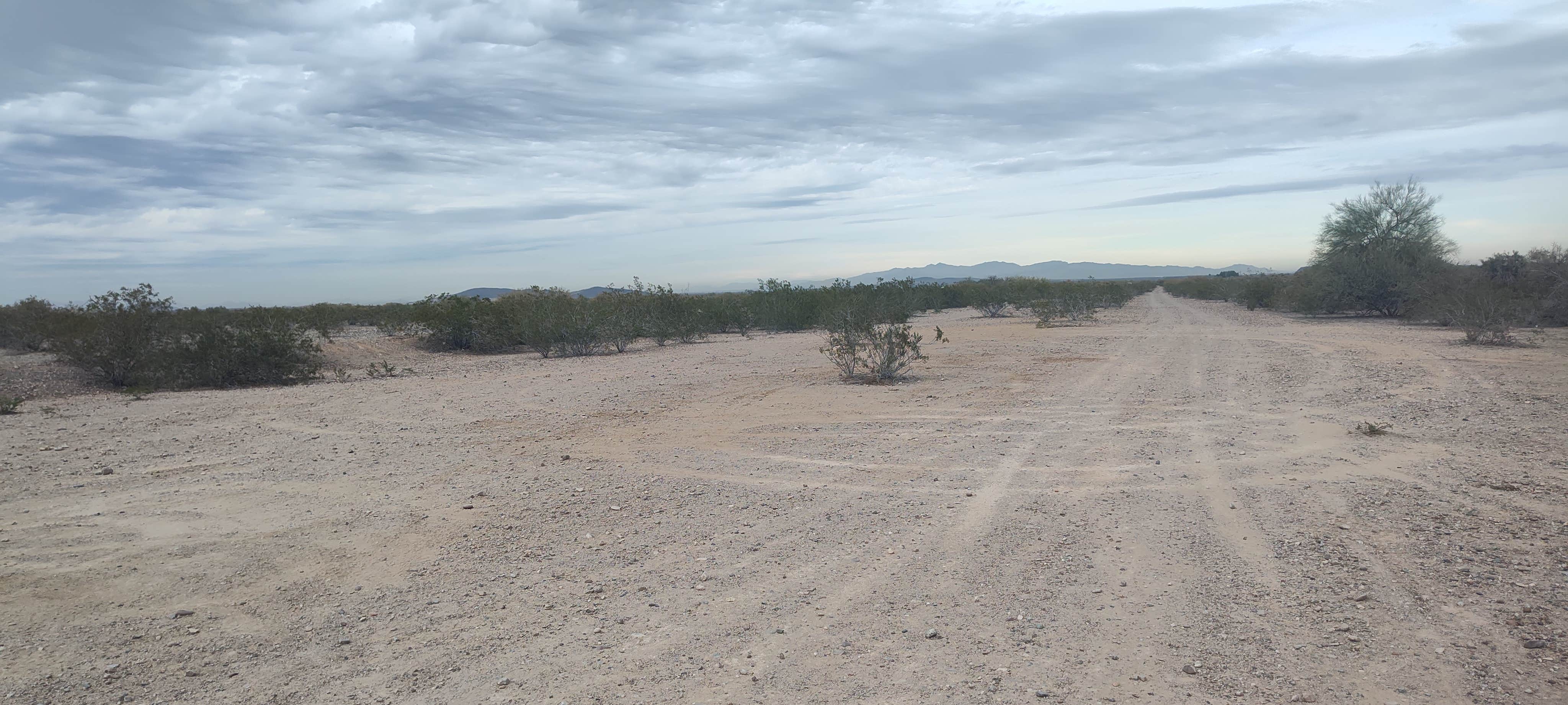 Camper-submitted photo at Agua Caliente Trail Camp near Buckeye, AZ