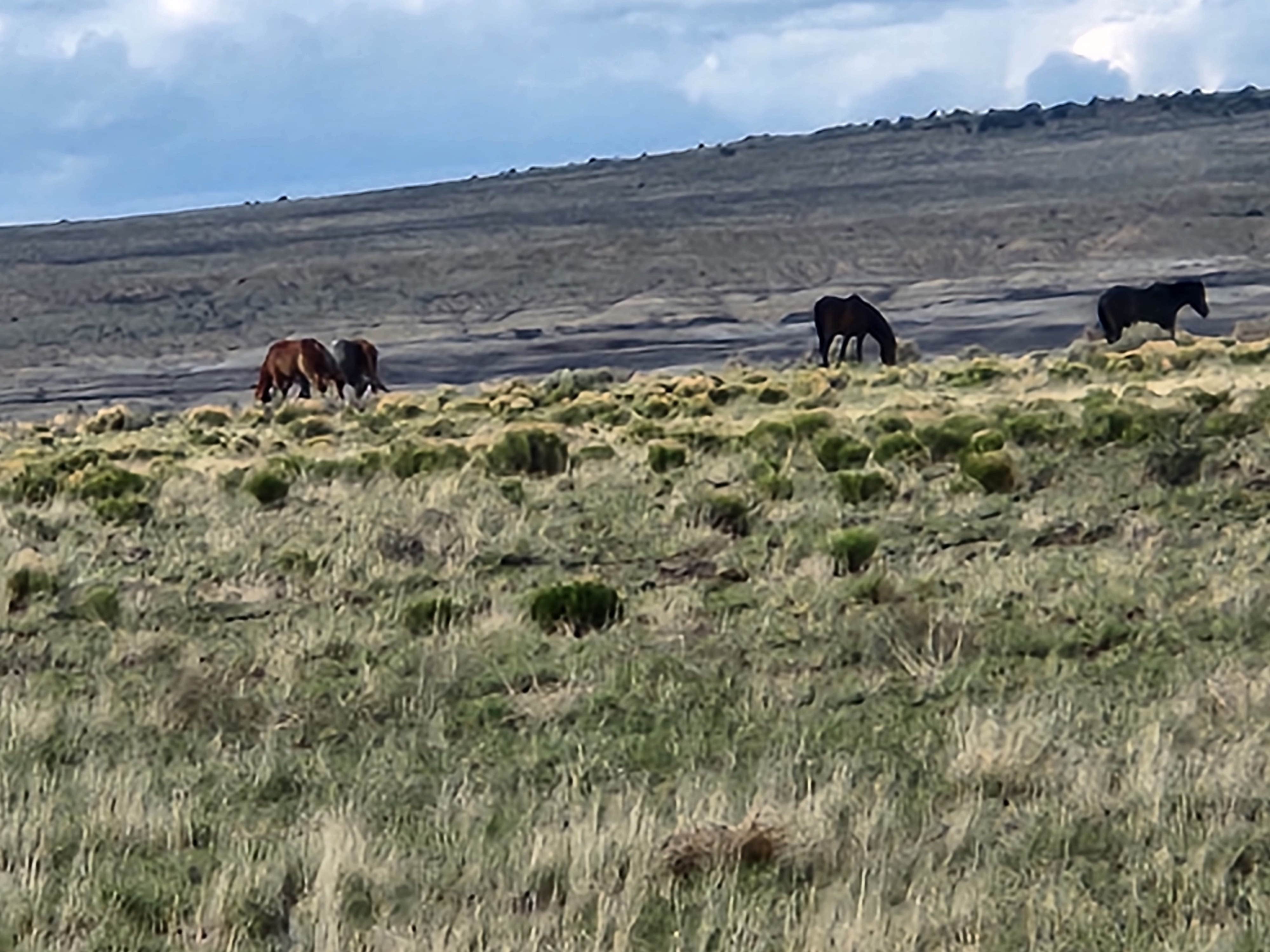 Camper-submitted photo at Ah-Shi-Sle-Pah Trailhead Parking Lot | Dispersed Camping near Counselor, NM