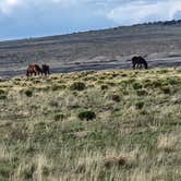 Review photo of Ah-Shi-Sle-Pah Trailhead Parking Lot | Dispersed Camping by Walther D., May 20, 2025