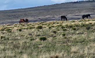 Walther D.'s photo of camping with pets at Ah-Shi-Sle-Pah Trailhead Parking Lot | Dispersed Camping near Nageezi, NM