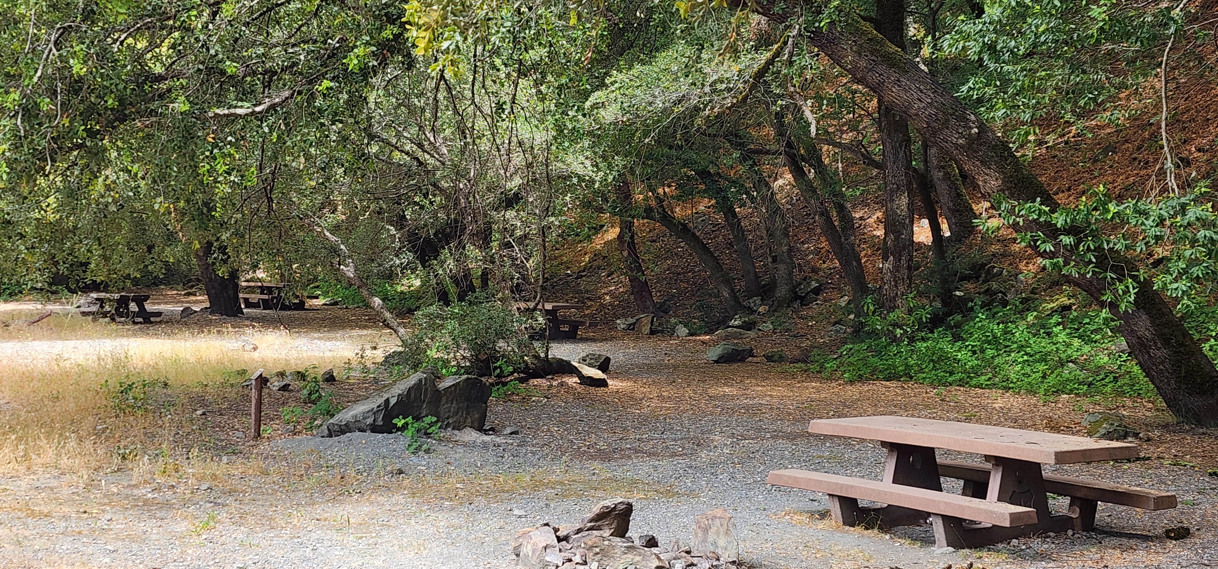 Camper-submitted photo at Aikens Creek Recreation Area near Redwood National Park