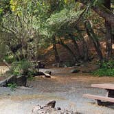 Review photo of Aikens Creek Recreation Area by George E., May 28, 2026